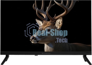 Телевизор TopDevice 24