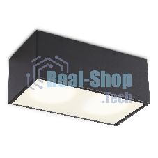 Светильник Ambrella light TN6535/2 BK черный IP44 GX53/2 200*100*80
