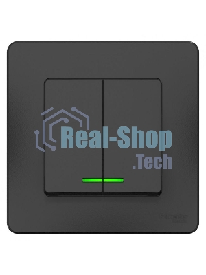 Выключатель 2-кл. СП Blanca (сх.5) 10А 250 В с подсветкой антрацит SchE BLNVS010516