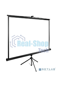 Экран Cactus 160x160 см TriExpert CS-PSTE-160x160-BK 1:1 напольный рулонный