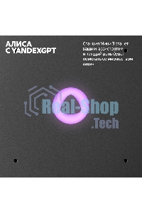 Умная колонка Yandex Станция Мини 3 Алиса черный 12W 1.0 BT/Wi-Fi