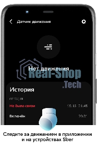 Умный датчик движения СБЕР/SBER (SBDV-00029) 