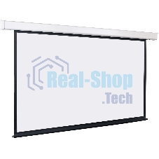 Экран с электроприводом Lumien Master Control 211x366 см (162