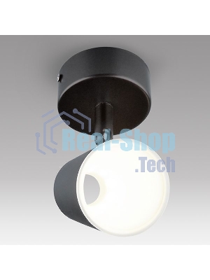 Светильник Elektrostandard DLR025 5W 4200K светодиодный стационарный черный матовый a039690