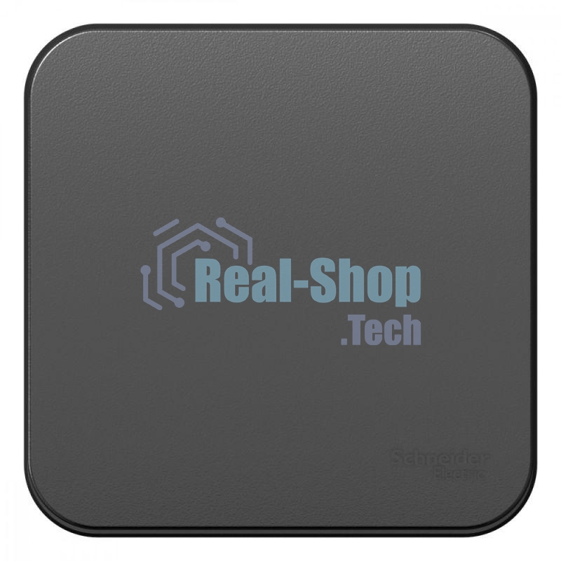 Выключатель 1-кл. ОП Blanca (сх.1) 10А 250 В изол. пласт. антрацит SchE