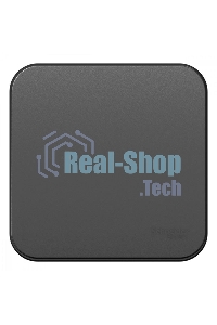 Выключатель 1-кл. ОП Blanca (сх.1) 10А 250 В изол. пласт. антрацит SchE