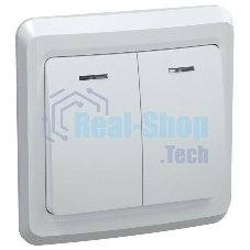 Выключатель 2-кл. СП Вега 10А IP20 ВС10-2-1-ВБ с индик. белый ИЭК EVV21-K01-10-DM