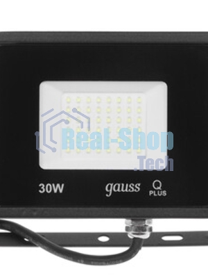 Прожектор светодиодный Gauss LED 30W IP65 6500К черный 1/10