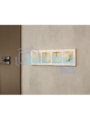 MA603050 Комплект механизма 2-кл выключателя с самовозвратом ALFA Шампань QUANT (AP6030, VM129)