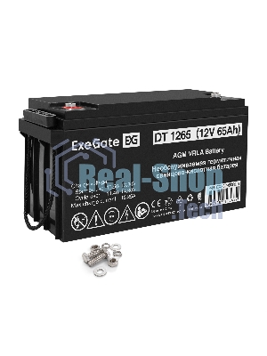 Аккумуляторная батарея ExeGate DT 1265 (12V 65Ah, под болт М6)