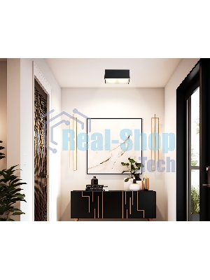 Светильник Ambrella light TN6535/2 BK черный IP44 GX53/2 200*100*80