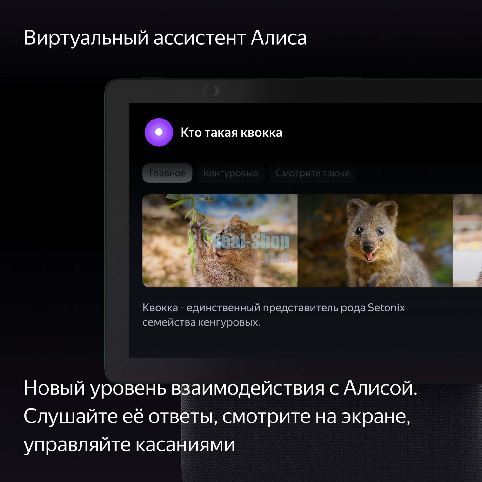 Умная колонка Яндекс Станция Дуо Макс, Zigbee, с дисплеем, 60Вт, с голосовым ассистентом Алиса на YaGPT, зеленый
