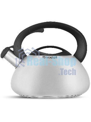 Чайник металлический Rondell Sieden RDS-088 3 л, стальной