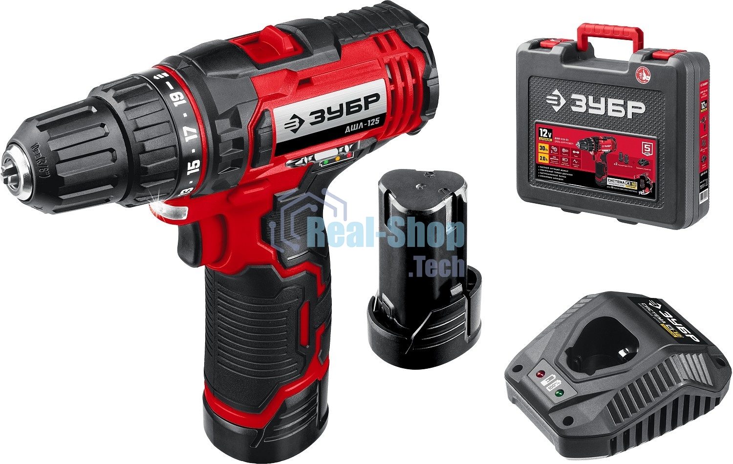 Дрель-шуруповерт аккумуляторная ЗУБР ДШЛ-125-22, Аккумуляторная, 12В, 2 АКБ, Кейс