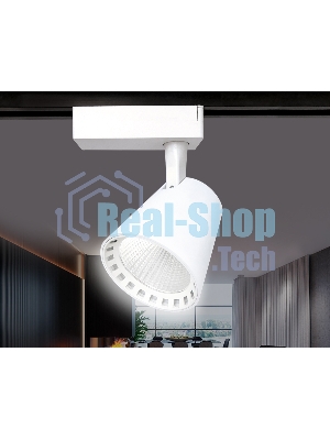 Трековый однофазный светодиодный светильник Ambrella light GL5975 WH белый LED 24W 4200K 24°