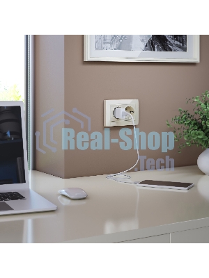 Рамка для двойной розетки (слоновая кость, basic) W0082003