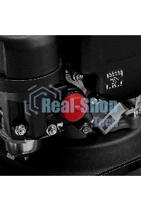 Газонокосилка бензиновая Denzel GLR-510SP-ZS, 171 см3, ширина 51 см, привод, травосборник 65 л