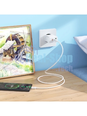 Сетевое зар./устр. Hoco C126A Pure power PD40W three-port(2C1A) charger(EU 40W 3A (PD+QC) универсальное белый