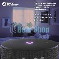 Умная колонка Yandex Станция Мини 3 Алиса черный 12W 1.0 BT/Wi-Fi