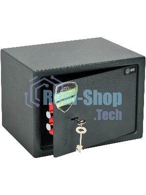 Сейф мебельный Cactus CS-SF-K25 250x350x250мм ключевой