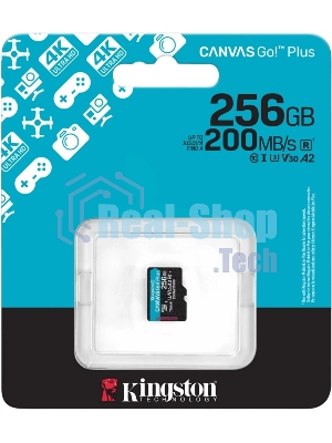 Флеш карта microSDXC 256Gb Kingston SDCG4/256GbSP Canvas Go! Plus V10 A2 w/o adapter