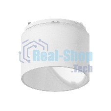 Насадка для корпуса светильника N6252 FR белый матовый D60*H53mm Out40mm MR16