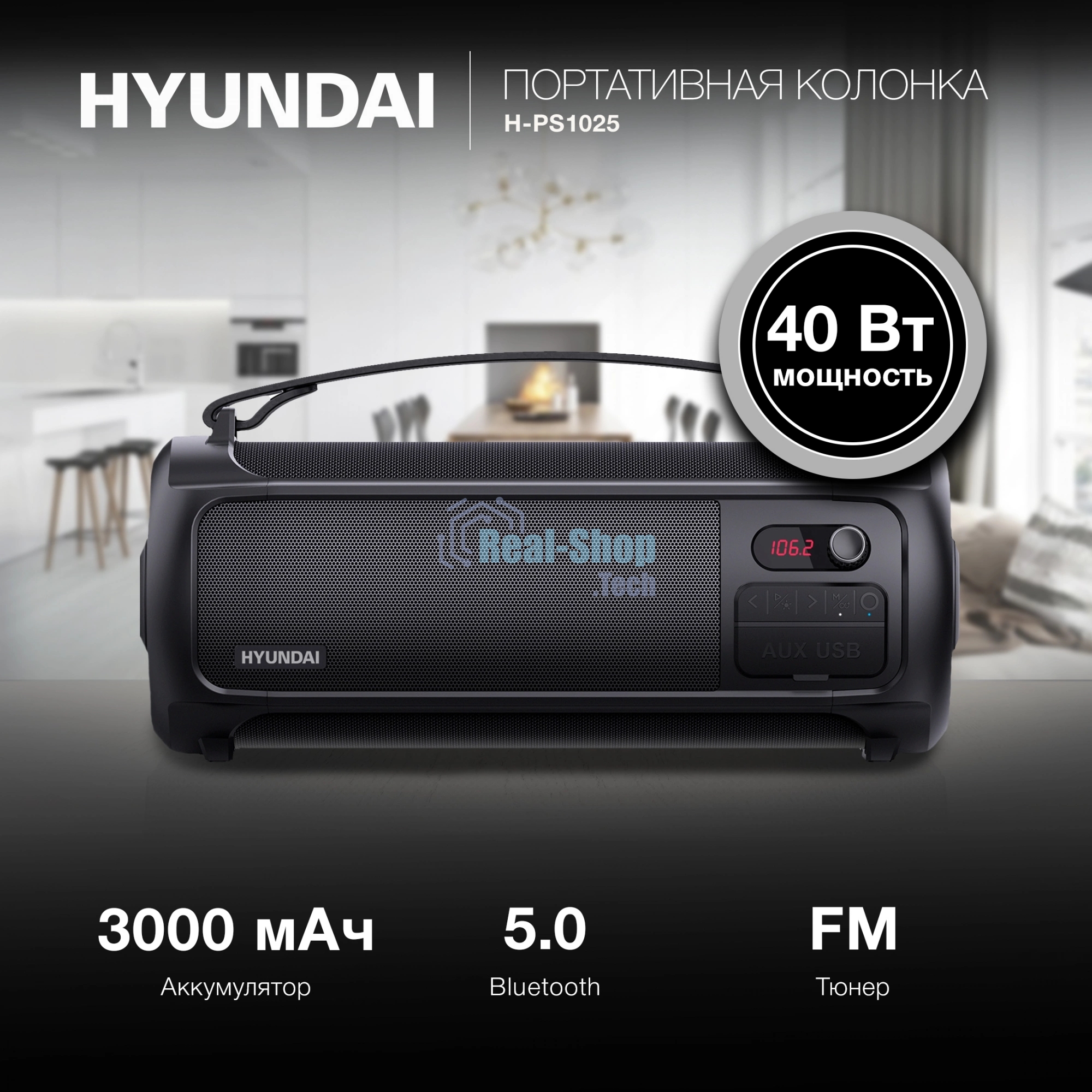 Портативная колонка Hyundai H-PS1025 черный 40W 2.0 BT 10м 3000mAh