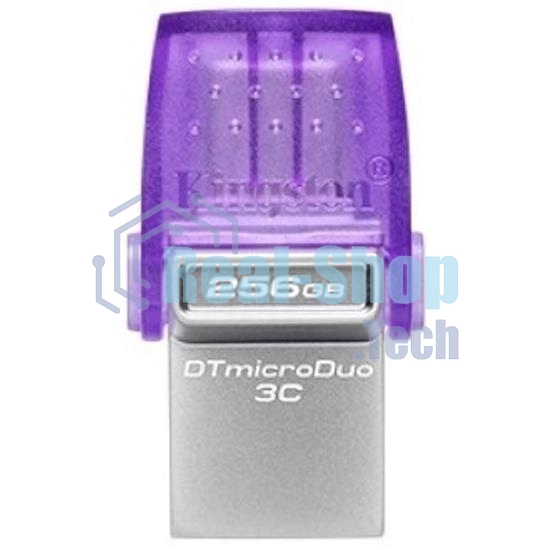 Флешка USB Kingston USB 3.2 256Gb DTDUO3CG3/256Gb
