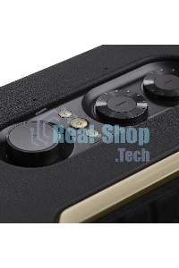 Акустическая система JBL Authentics 300 Google Assistant, Amazon Alexa черный 100W 2.1 BT 4800mAh (JBLAUTH300BLKUK)