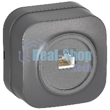 Розетка для открытой установки компьютерная RJ45 кат.5E РК10-ХСм сталь матовый GLORY