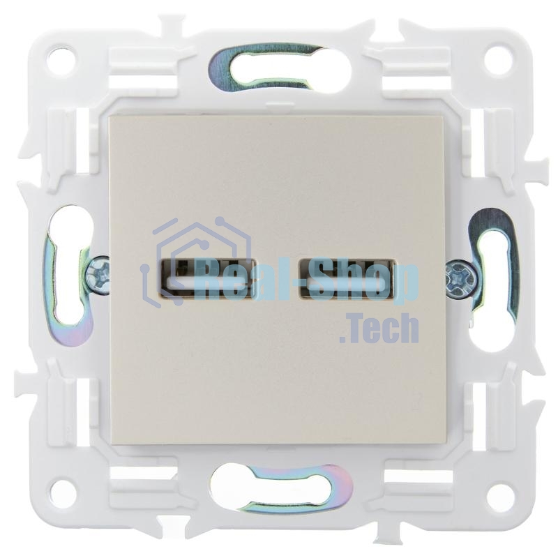 SKANDY Розетка USB A+A 3,1А SK-R15Sh шампань | SK-U21-D31-K37 | IEK