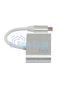 Кард-ридер Type C Digma CR-С2501-S серебристый