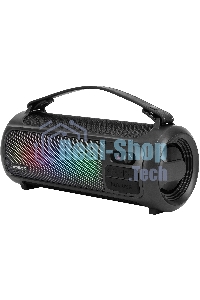 Портативная колонка Hyundai H-PS1025 черный 40W 2.0 BT 10м 3000mAh