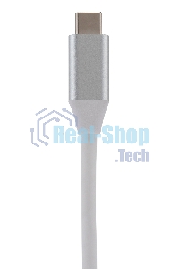 Кард-ридер Type C Digma CR-С2501-S серебристый