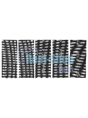 Сетка абразивная Сибртех, P 120, 115 х 280 мм, 5 шт.