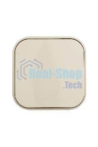 Выключатель 10A 1-клав., сл. кость Quteo