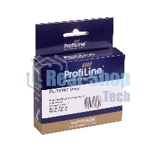 Картридж струйный ProfiLine PL-T0967 для принтеров Epson Stylus Photo R2880 с чернилами Grey 11,4 мл
