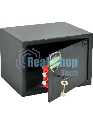 Сейф мебельный Cactus CS-SF-K25 250x350x250мм ключевой