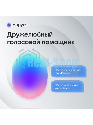 Умная колонка VK Капсула Мини 5Вт, с голосовым ассистентом Маруся, с LED-часами, терракотовый