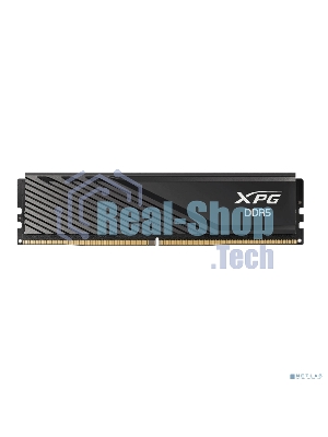 Оперативная память XPG Lancer Blade, DDR5, 32GB (2x16 GB), 6000 MHz, CL36, радиатор, черный