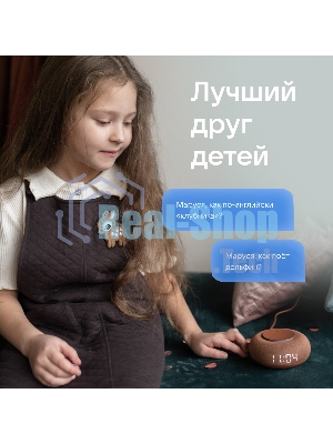 Умная колонка VK Капсула Мини 5Вт, с голосовым ассистентом Маруся, с LED-часами, терракотовый