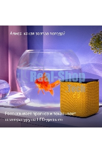 Умная колонка Яндекс Станция Миди, ZigBee, 24Вт, с голосовым ассистентом Алиса на YaGPT, оранжевый