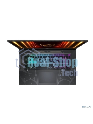 Ноутбук MSI Cyborg 17 B13WFKG-218XRU Intel Core i5-13420H/16Gb/SSD 1Tb/RTX 5060 8Gb/17.3
