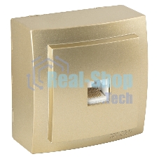 Nilson Роз. компьютерная 1-местн. СУ, (RJ45 CAT5), Темис (Themis), золото (26151044)
