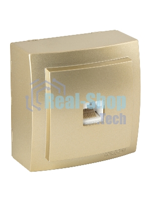 Nilson Роз. компьютерная 1-местн. СУ, (RJ45 CAT5), Темис (Themis), золото (26151044)
