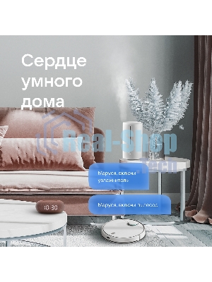 Умная колонка VK Капсула Мини 5Вт, с голосовым ассистентом Маруся, с LED-часами, терракотовый