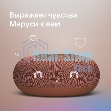 Умная колонка VK Капсула Мини 5Вт, с голосовым ассистентом Маруся, с LED-часами, терракотовый