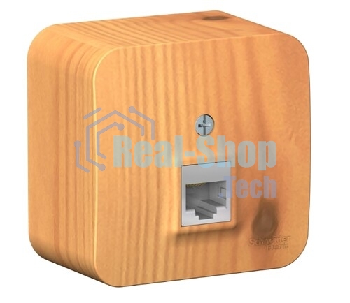 Systeme Electric Blanca наруж Ясень Розетка компьютерная RJ45, кат.5E, изолир. пластина