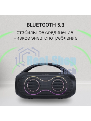 Колонка портативная Digma D-PS1532 черный 60W 2.0 BT 10м 3600mAh (PS1532B)