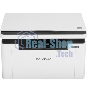 МФУ лазерное Pantum BM2300, A4, ч/б, печ./скан. до 22 стр/мин, 1200 x 1200 dpi, USB